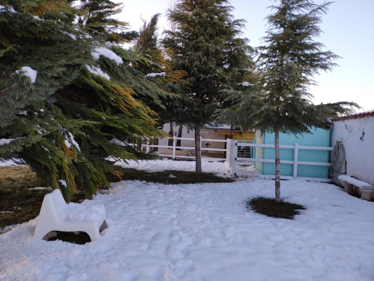 Hearts & Ponies Apartamentos Con Piscinas Privadas Cerca De La Warner ชินชอน ภายนอก รูปภาพ