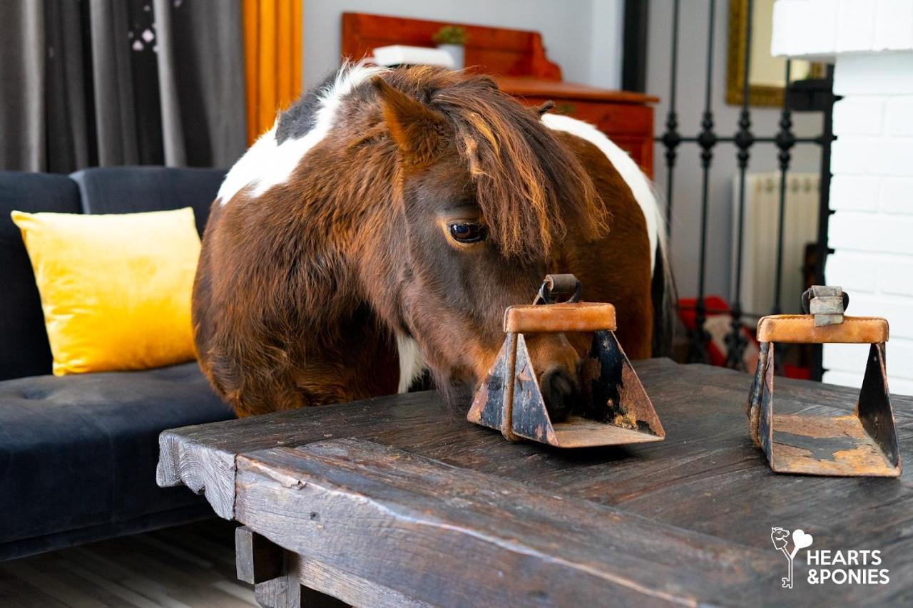 Hearts & Ponies Apartamentos Con Piscinas Privadas Cerca De La Warner ชินชอน ภายนอก รูปภาพ