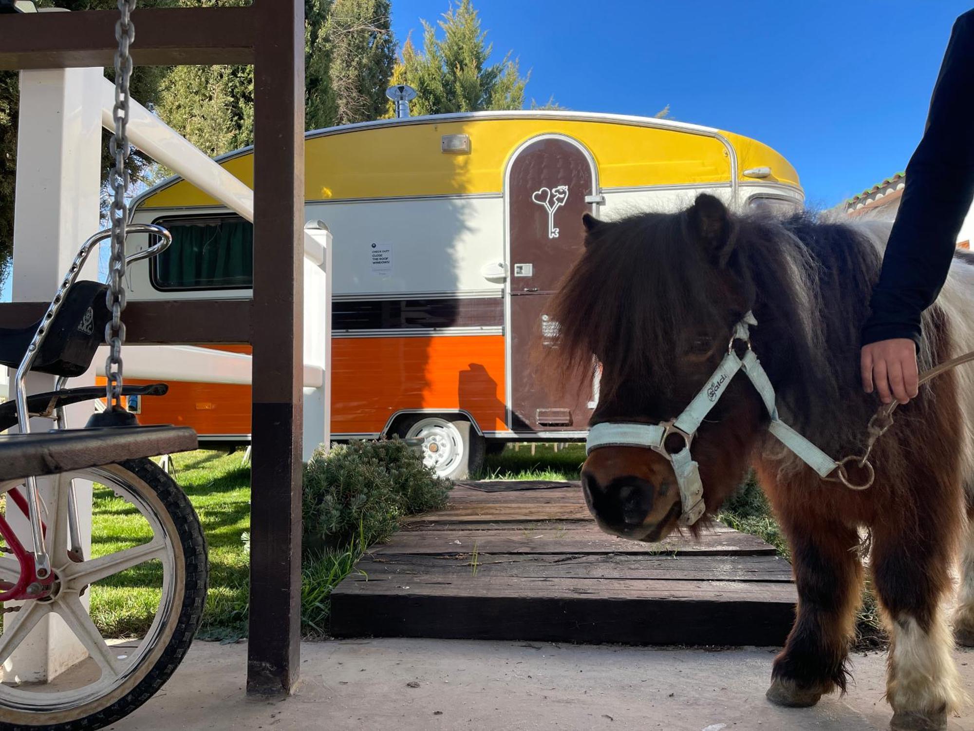 Hearts & Ponies Apartamentos Con Piscinas Privadas Cerca De La Warner ชินชอน ภายนอก รูปภาพ